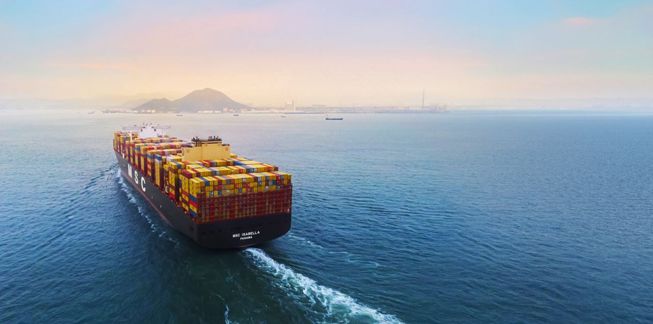 SHIPPING FRANCE TO USA